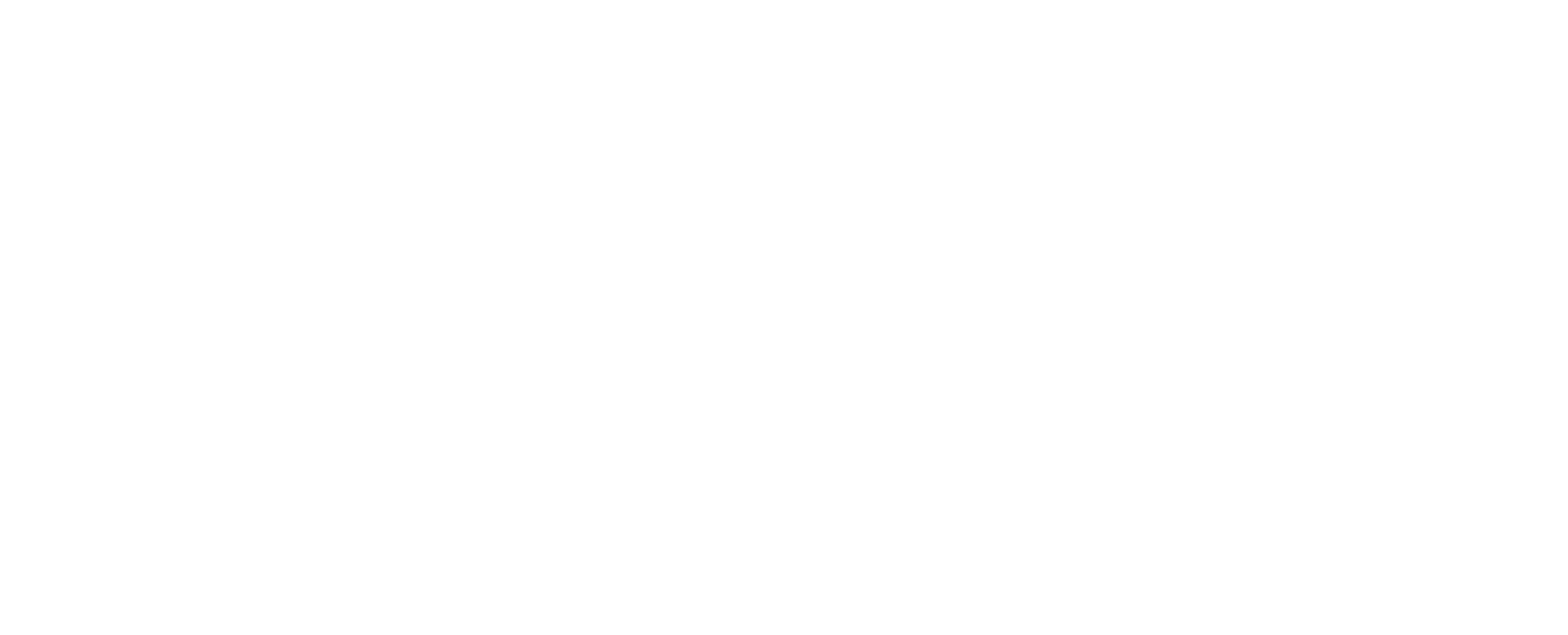 Muchina S.R.L